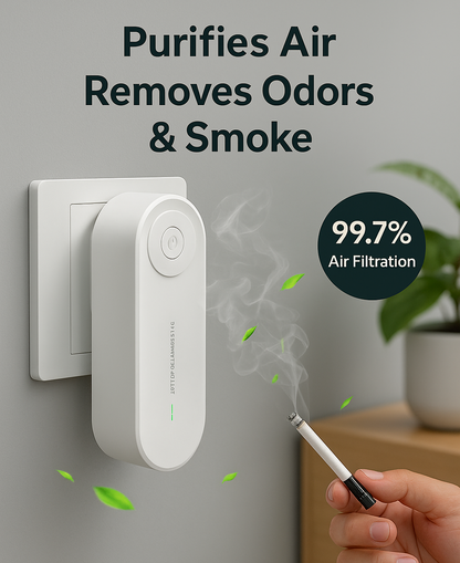 Anion Portable Air Purifier