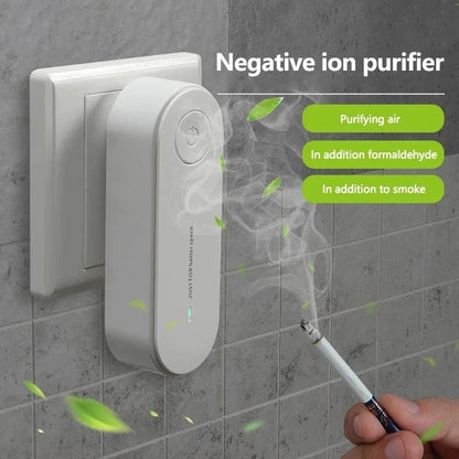 Anion Portable Air Purifier